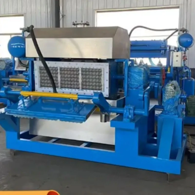 Egg Tray Molding plant factory