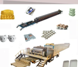 Your Premier Partner For Advanced Pulp Molding Egg Tray Machine Solutions
